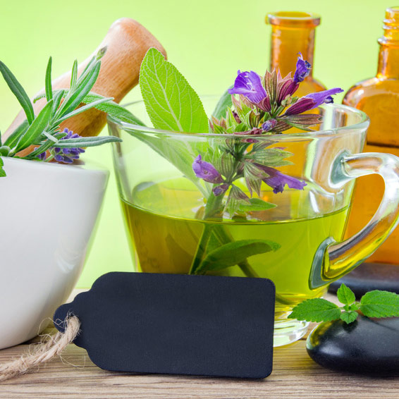 Phytotherapie in der Naturheilpraxis Hubert Braun Ottersweier/Baden